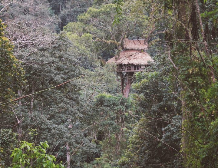The Gibbon Experience - Slapen en ziplinen in de jungle