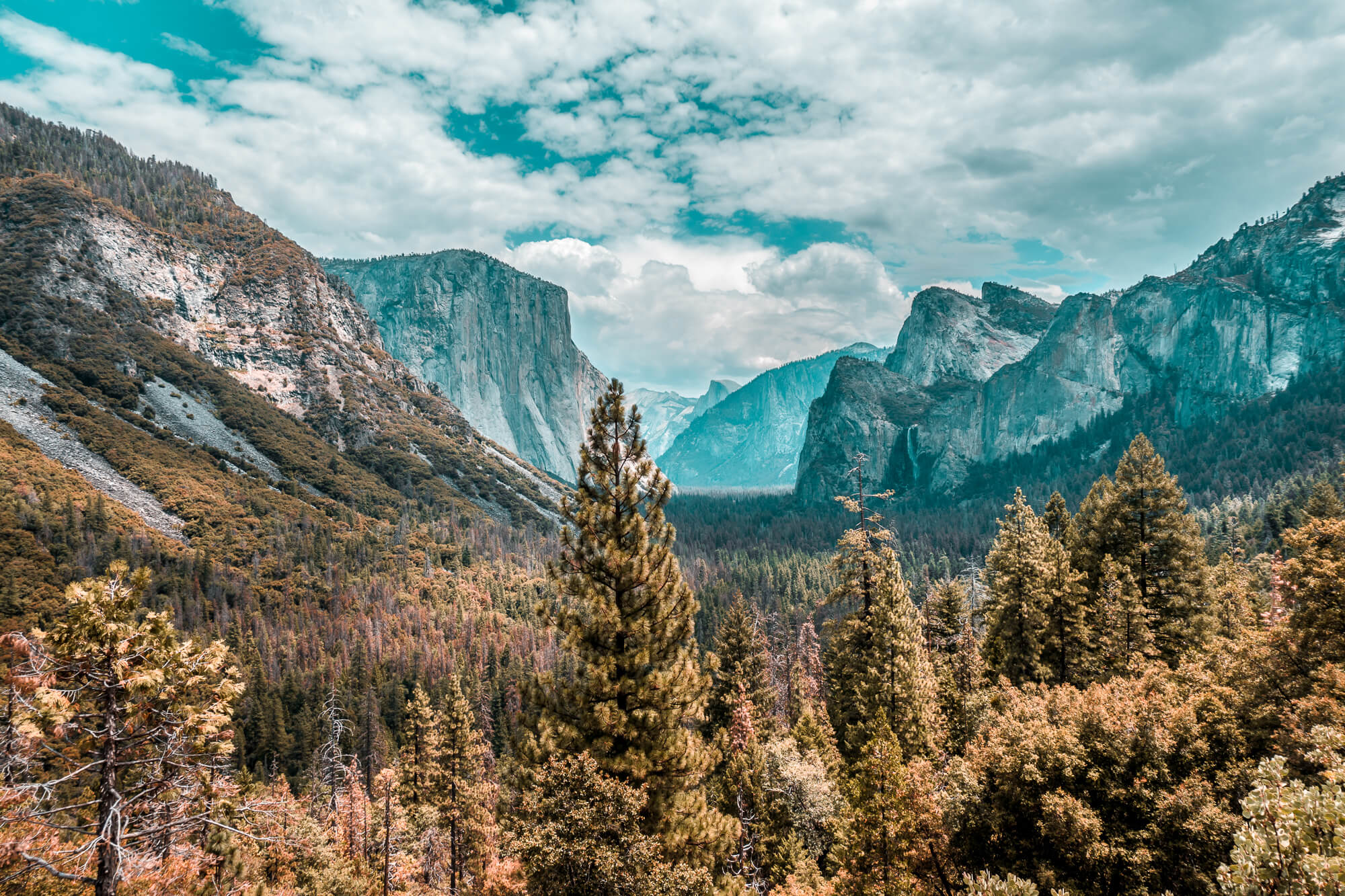Yosemite National Park, Californië, Roadtrip Verenigde-Staten