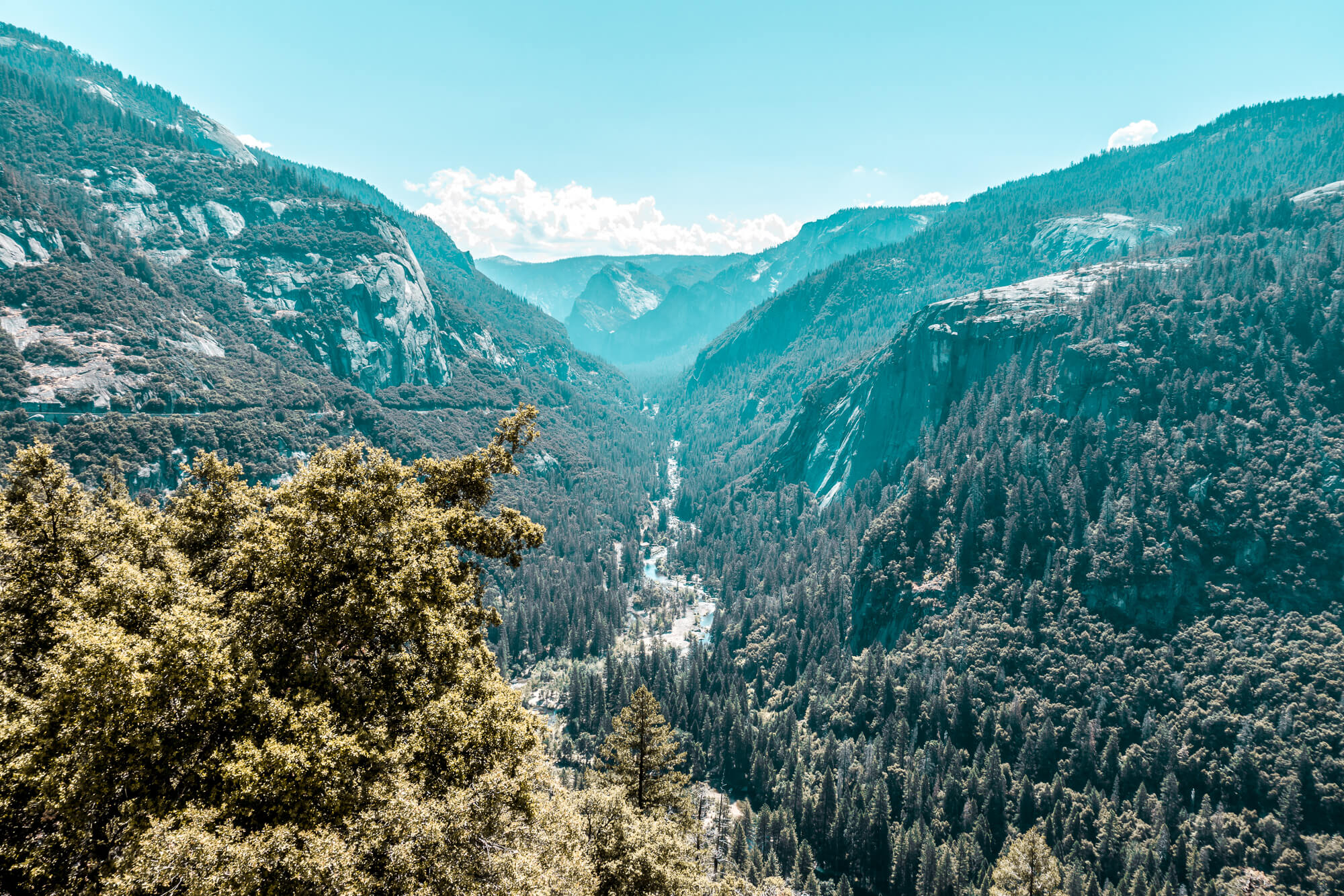 Nieuw Yosemite - De natuur op haar mooist - Youngwildfree CT-28