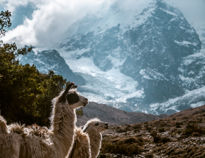 Salkantay Trek - avontuurlijke tocht richting Machu Picchu