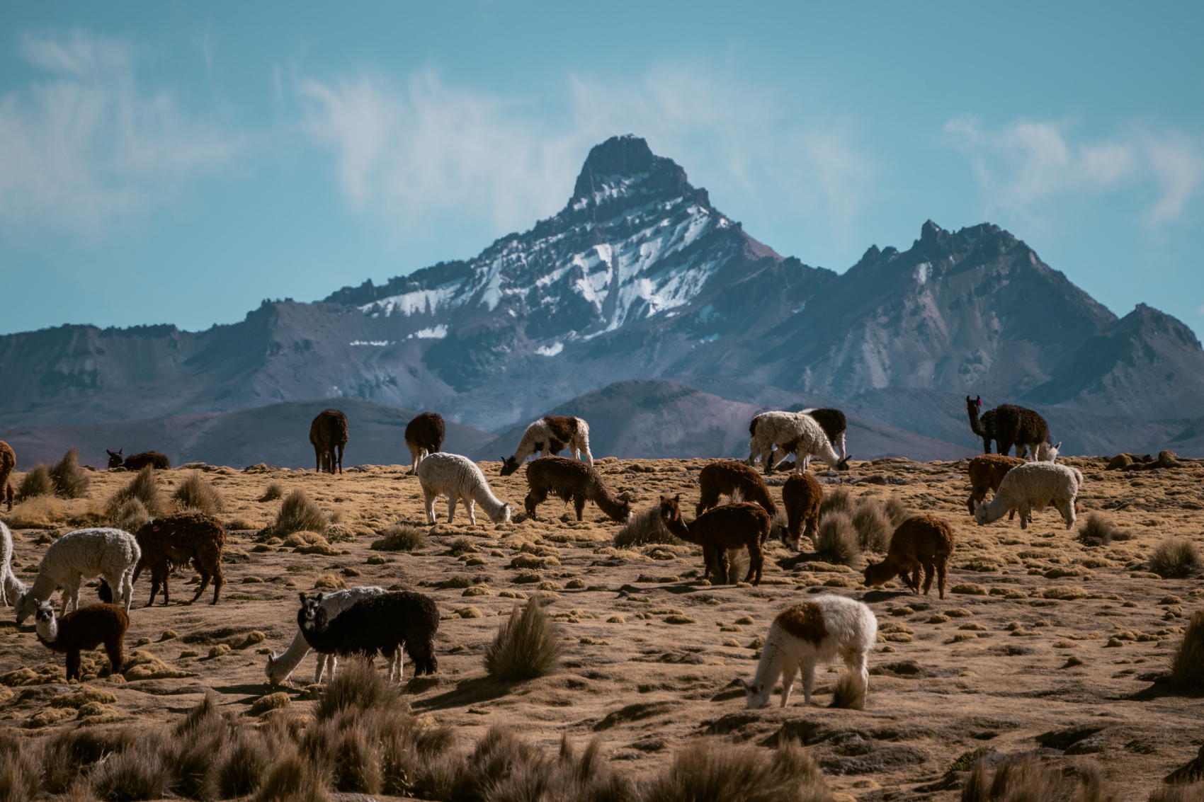 Sajama National Park Bolivia, praktische informatie
