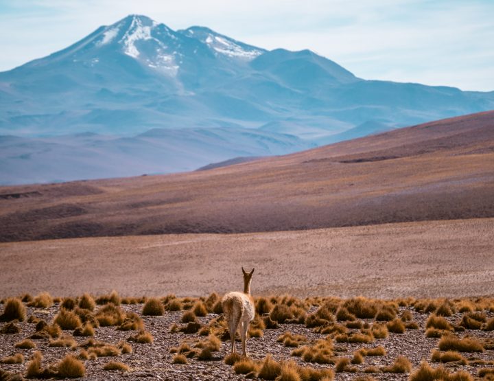 Rondreis Bolivia: de mooiste reisroute in 2-3 weken