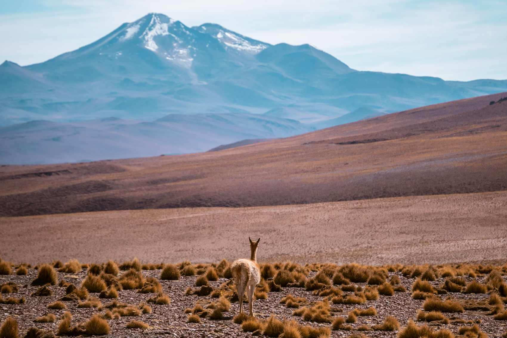 Landschappen tijdens tour Uyuni zoutvlakte Bolivia youngwildfree.be reisblog