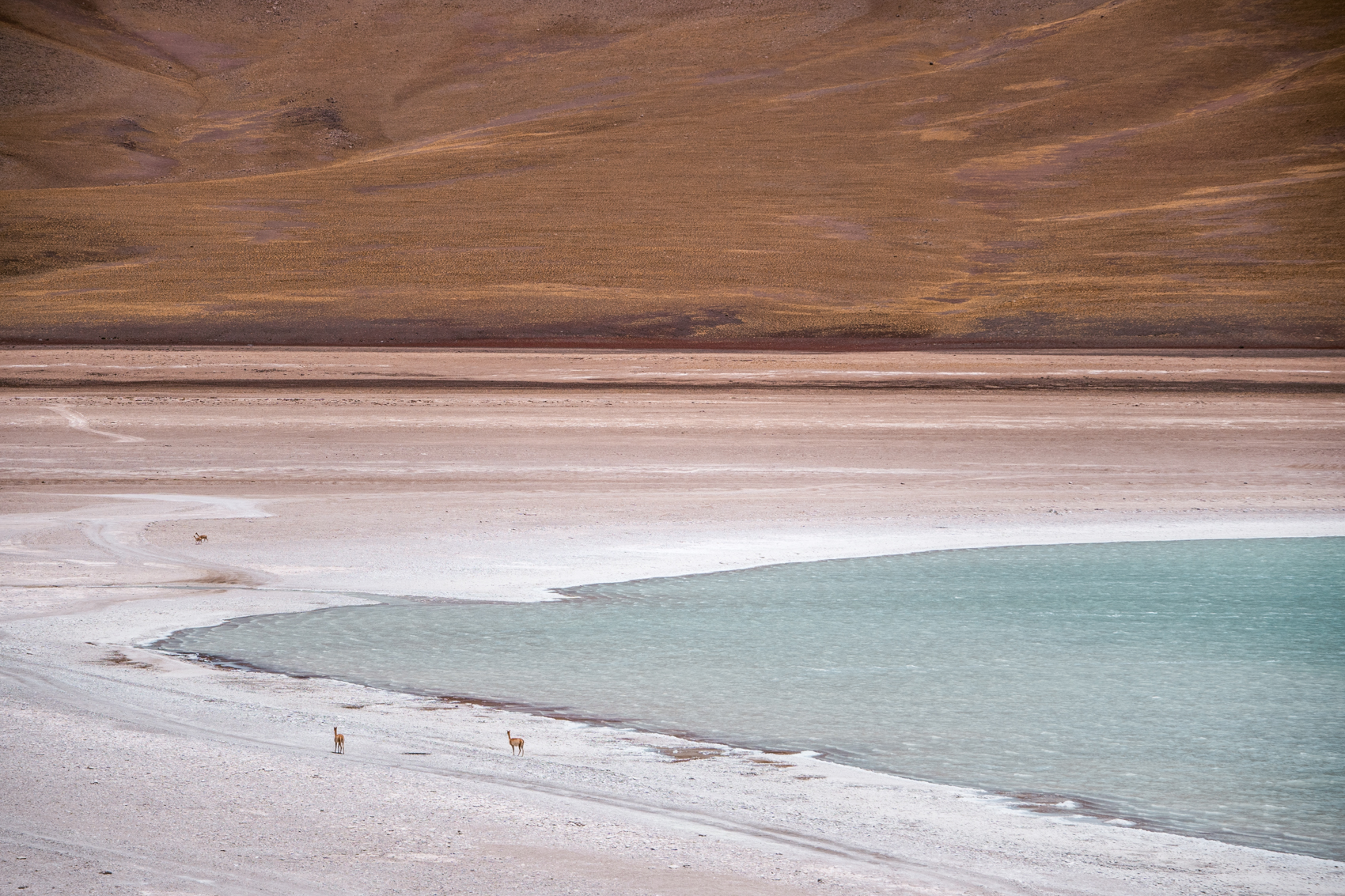 Landschappen tijdens tour Uyuni zoutvlakte Bolivia youngwildfree.be reisblog