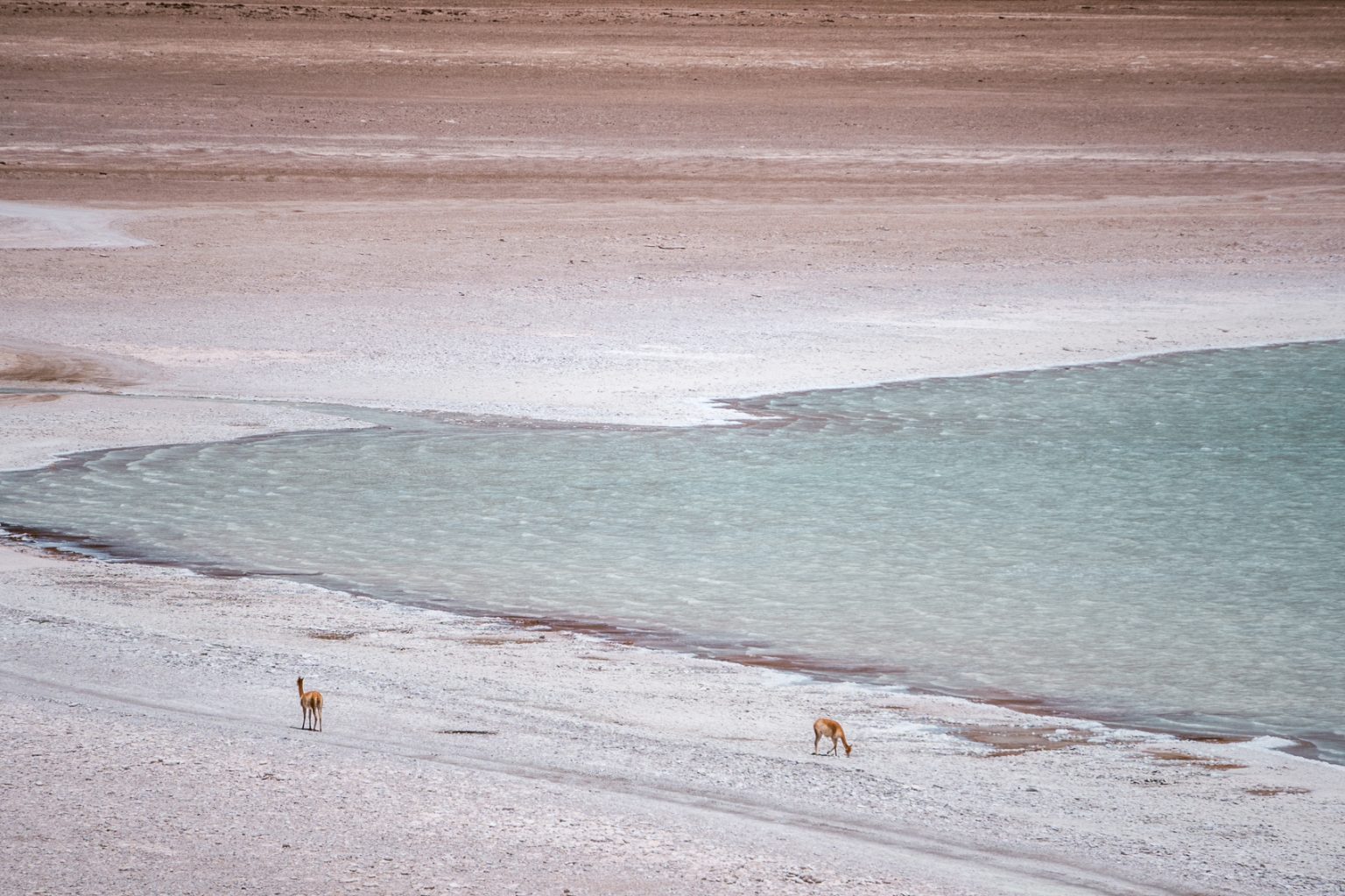 Rondreis Bolivia: De Mooiste Reisroute In 2-3 Weken - Youngwildfree