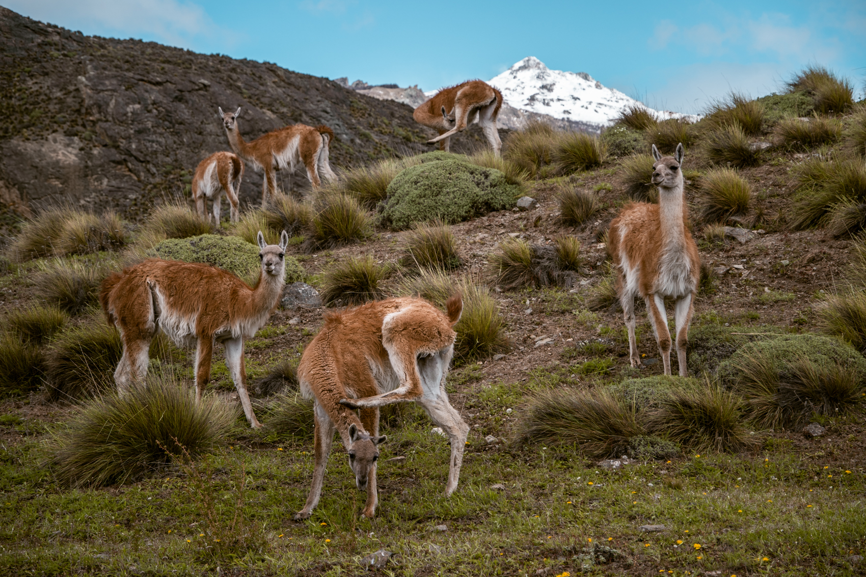 Patagonia National Park, Chili