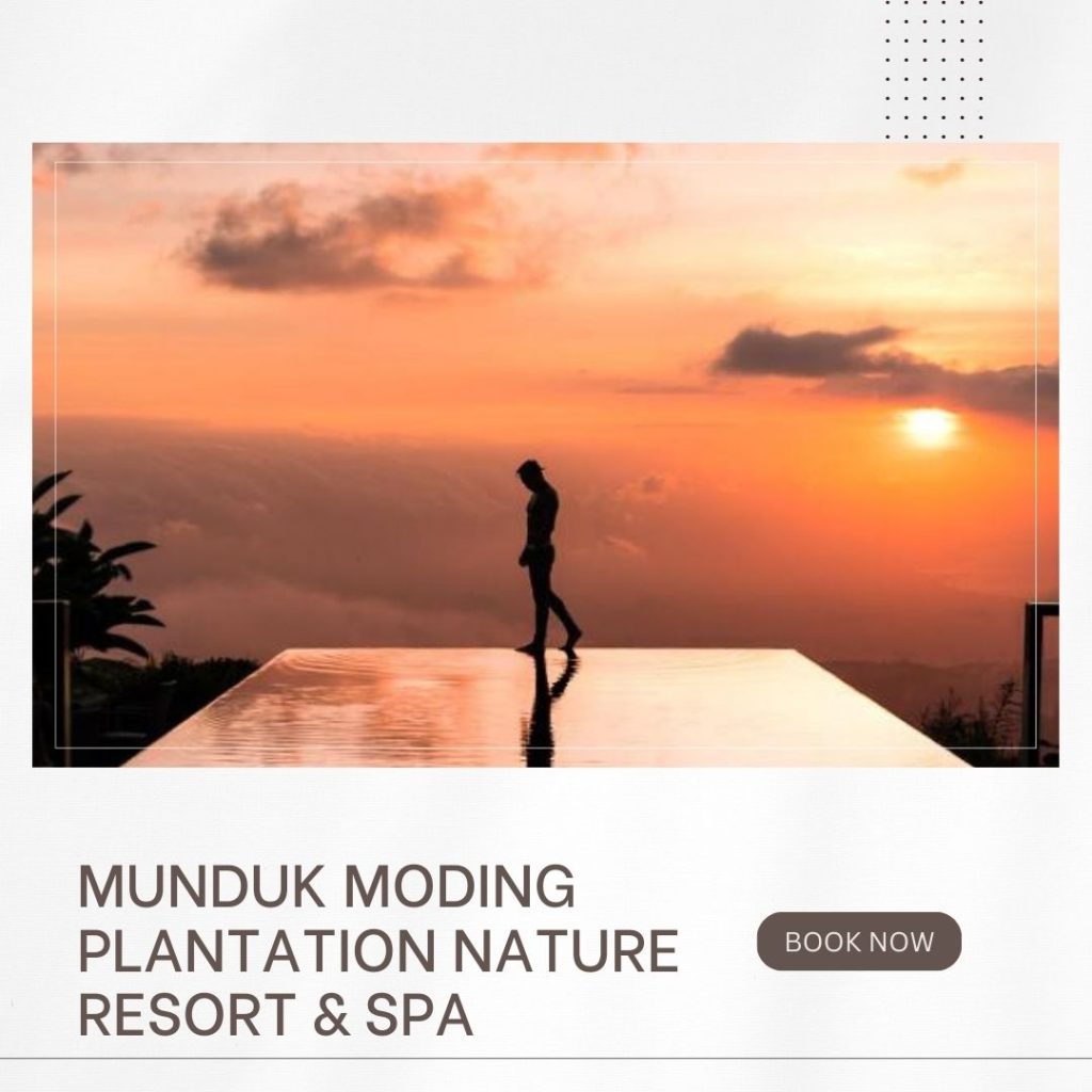 Mooiste resorts en hotels Munduk Bali