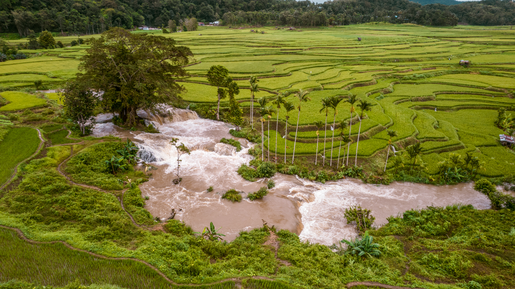 Waikelo Sawah Waterfall Sumba, bezienswaardigheden en mooiste plekken op Sumba Indonesië, wat te zien en wat te doen?