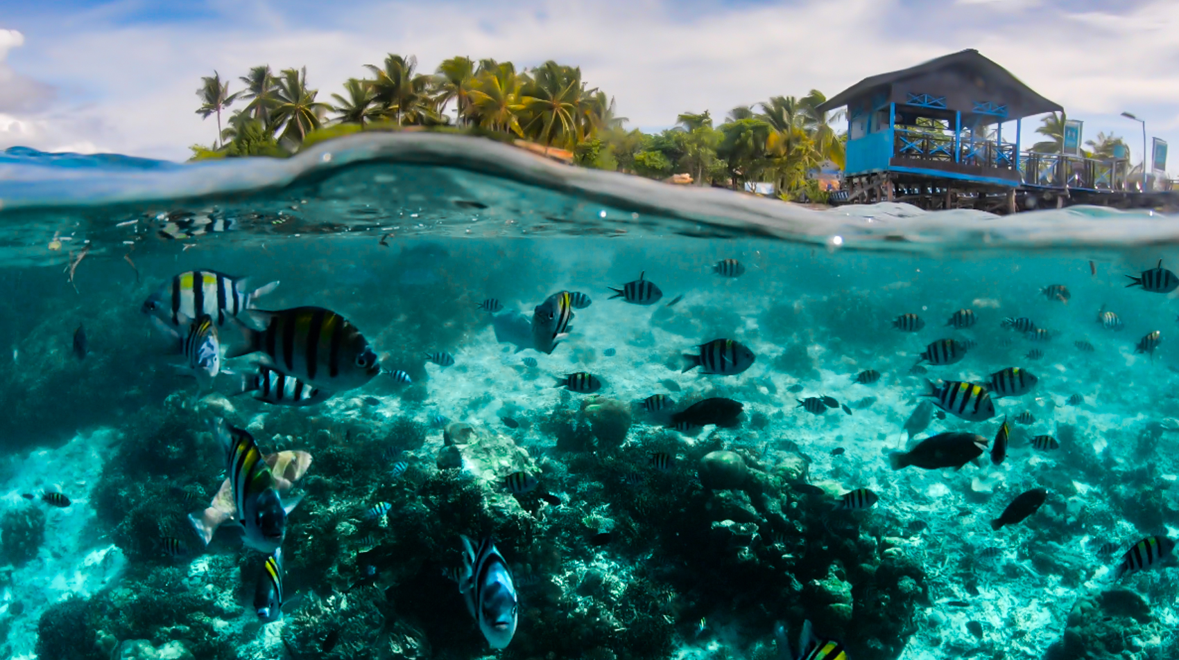 Mooiste duikplekken snorkelplekken ter wereld, Raja Ampat, The Last Paradise, Indonesië, mooiste eilanden
