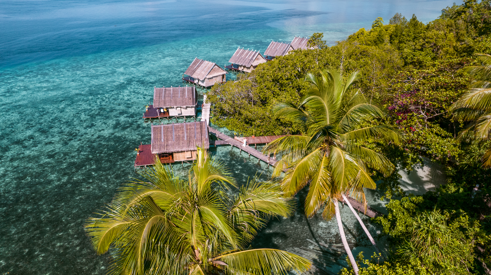 Raja Ampat West-Papoea, praktische informatie, eilandhoppen, zelfstandig reizen