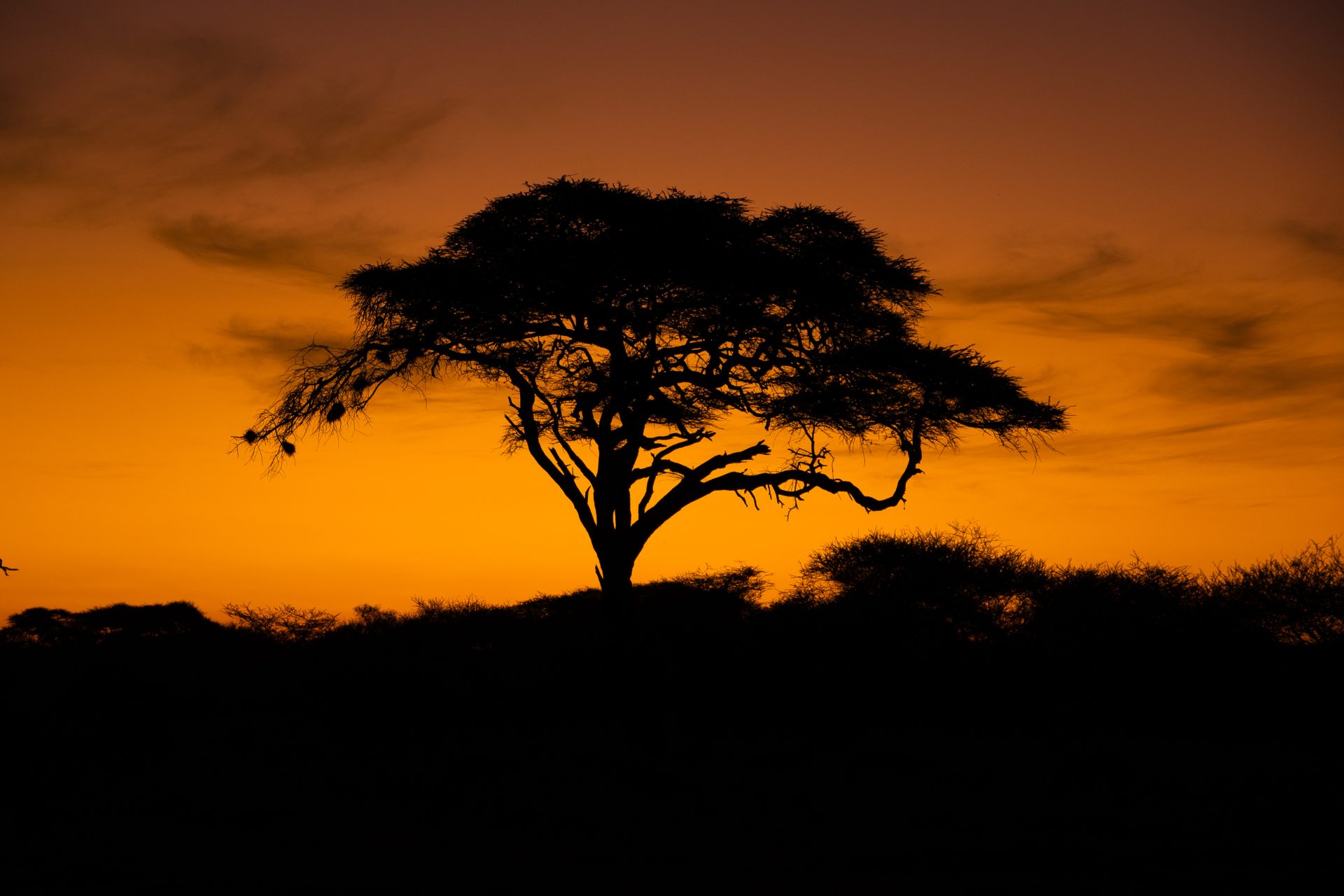 Sundowner in Amboseli National Park, Kenia, praktische reistips, reisgids, youngwildfree, Belgische reisblog, zonsondergang