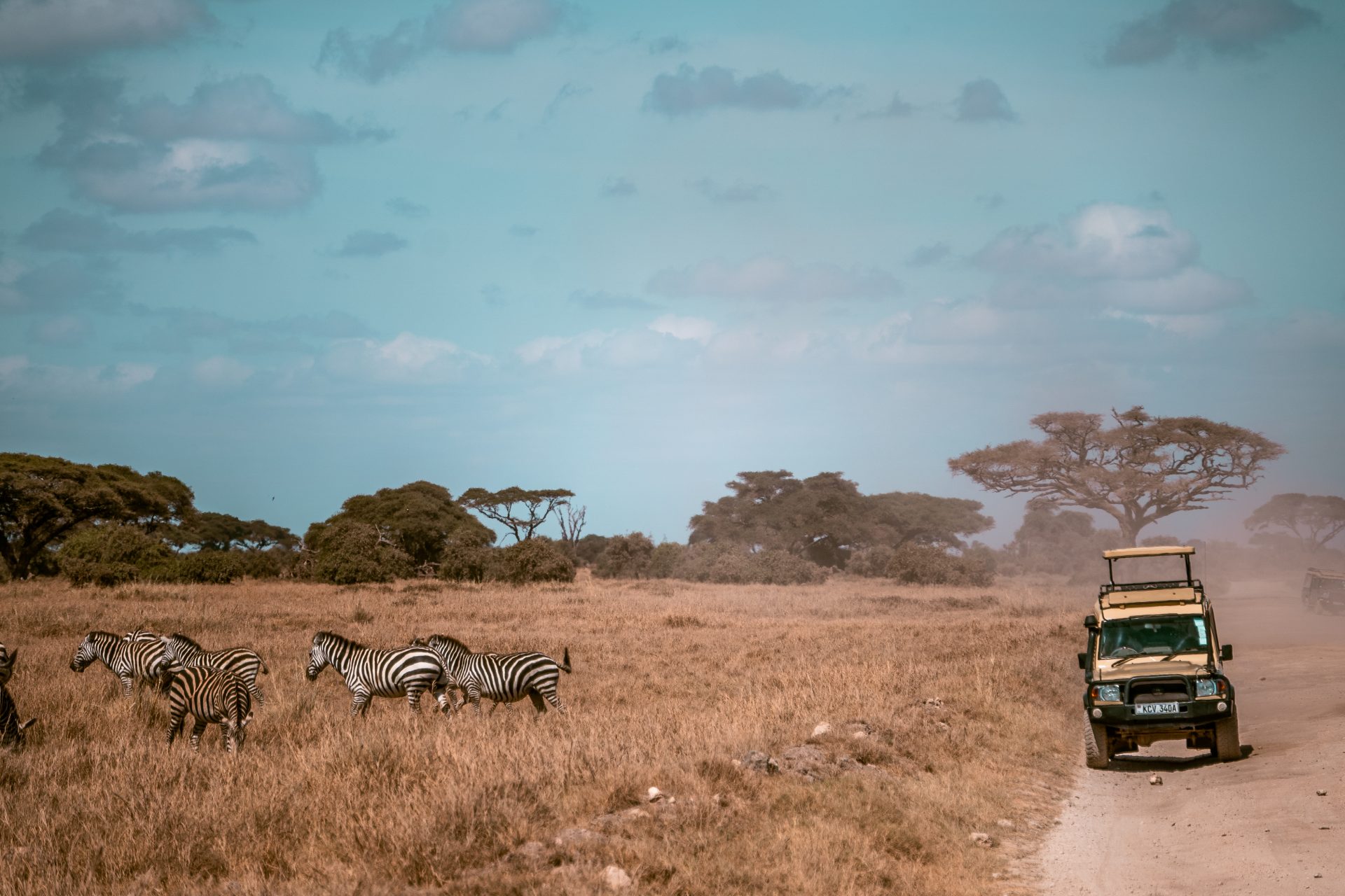 Amboseli met of zonder tour? Zelfstandig rijden door Amboseli, tour boeken naar Amboseli National Park, Kenia