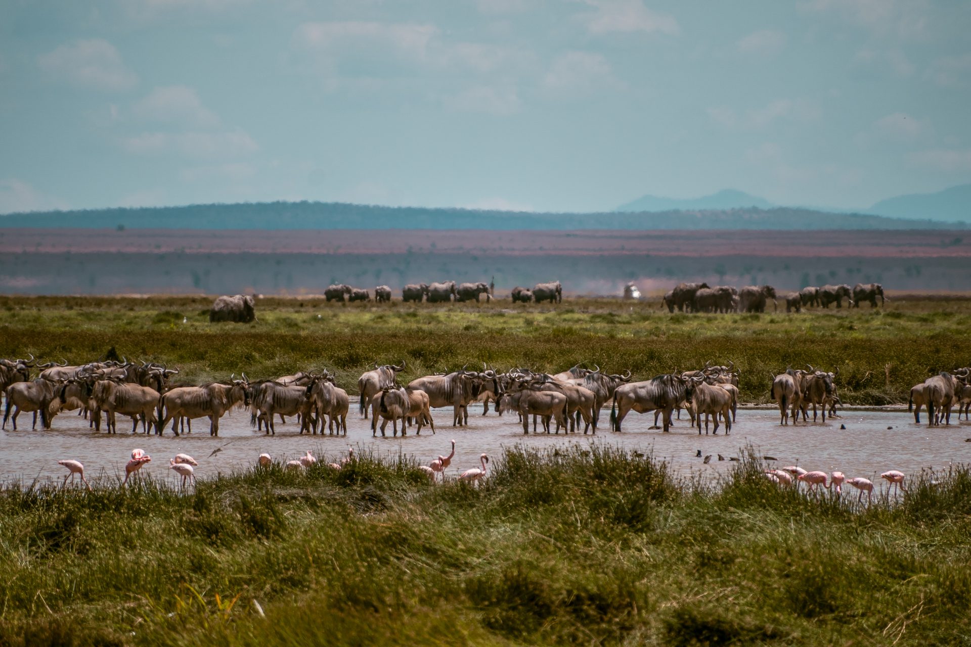 Landschappen in Amboseli National Park, Kenia