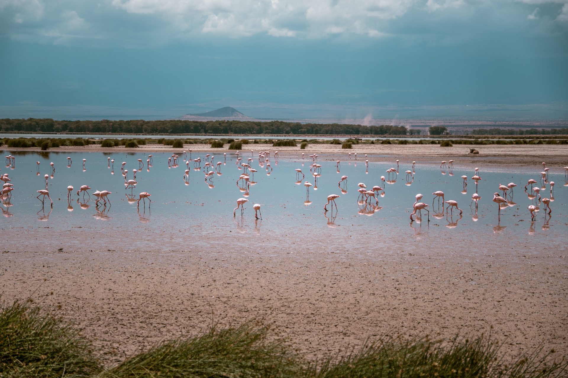 Landschappen en ecosysteem Amboseli, Kenia, mooiste nationale parken, wat te zien, wat te doen