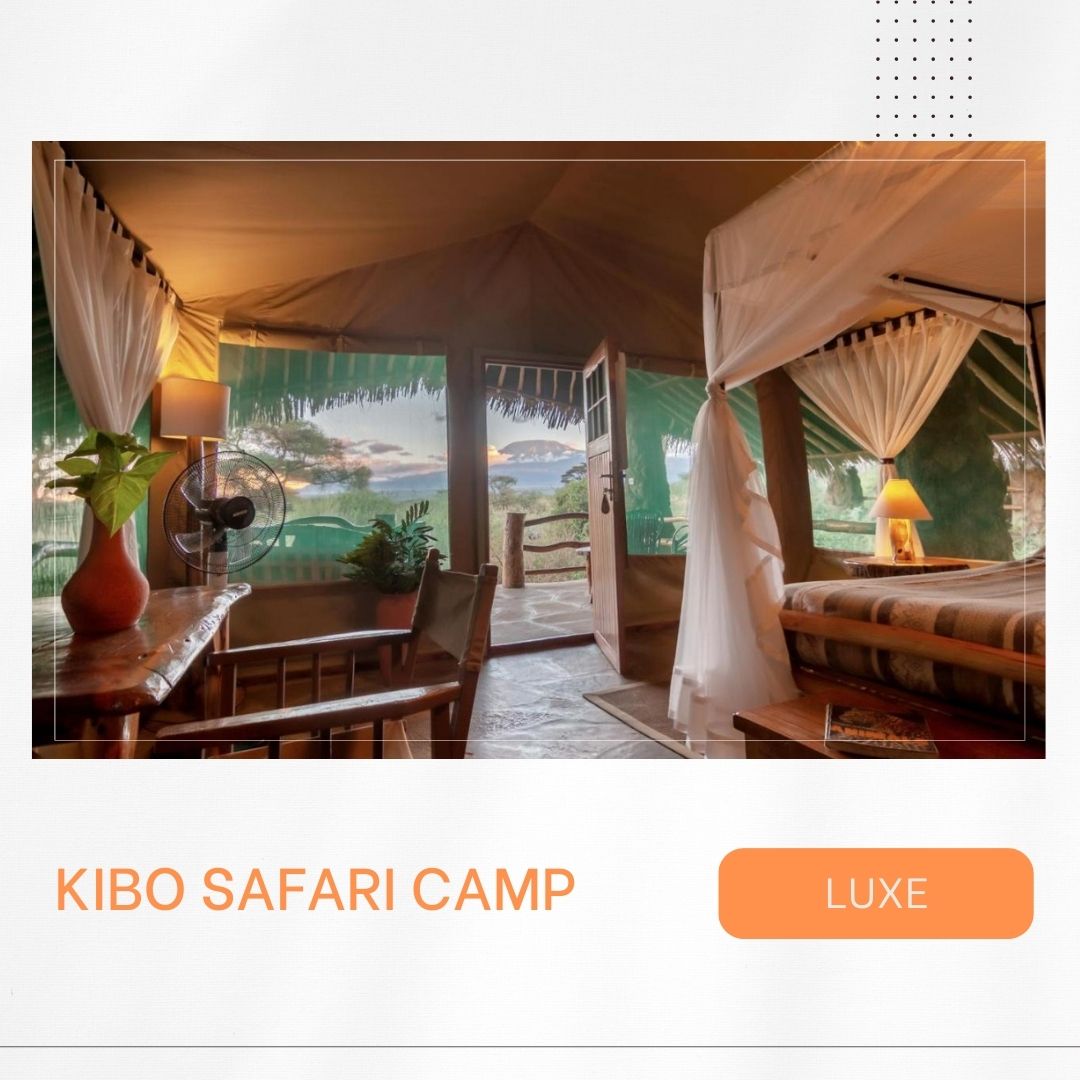 Waar te overnachten in Amboseli?, luxueuze kampen en lodges, mooiste verblijven, Kenia