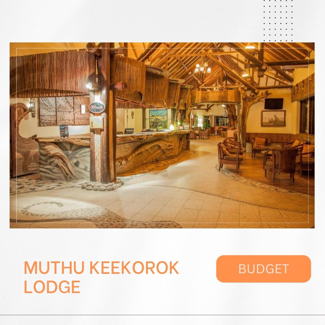 Waar te verblijven in Masai Mara, mooiste lodges, beste kampen, luxe verblijven, budget accommodaties