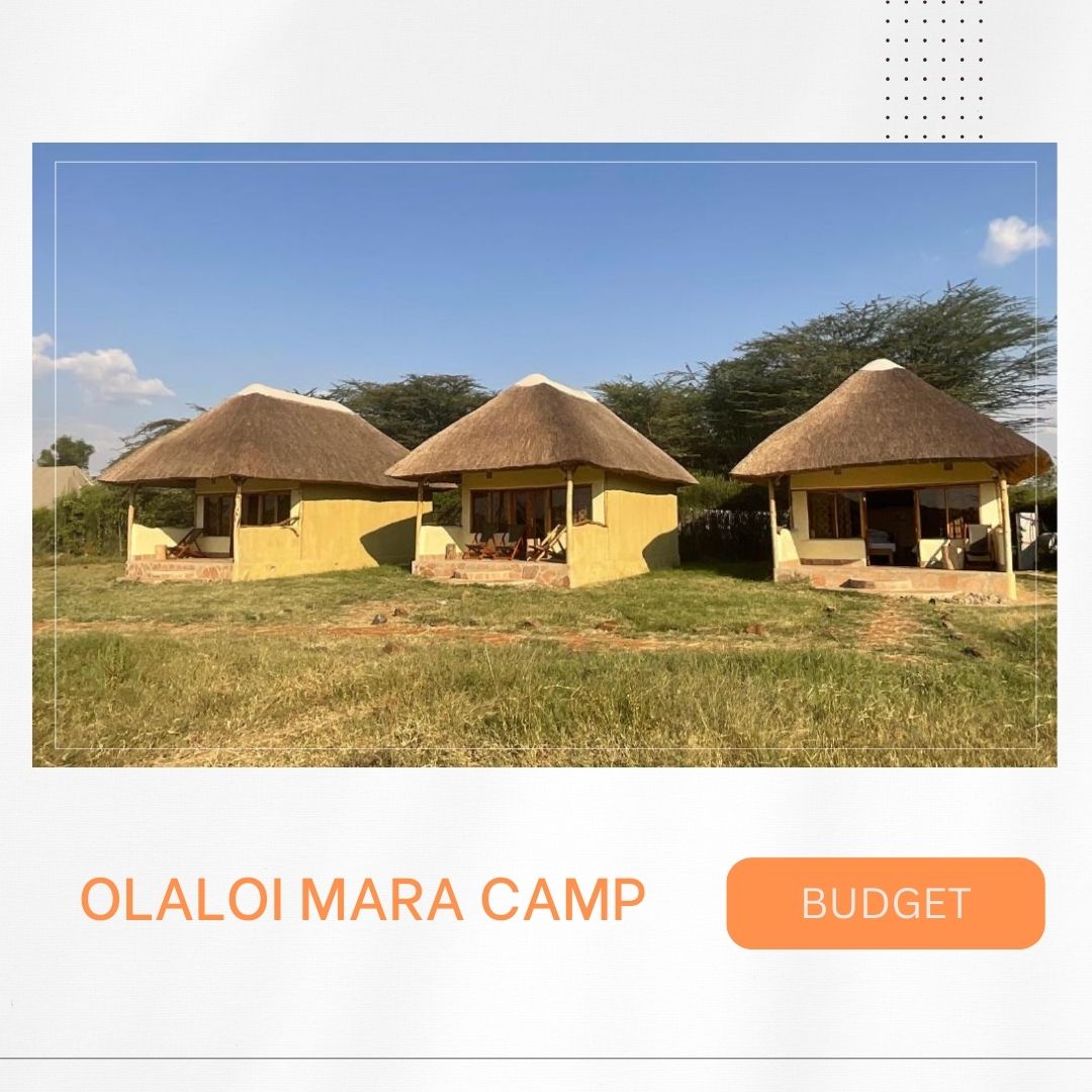 Waar te verblijven in Masai Mara, mooiste lodges, beste kampen, luxe verblijven, budget accommodaties