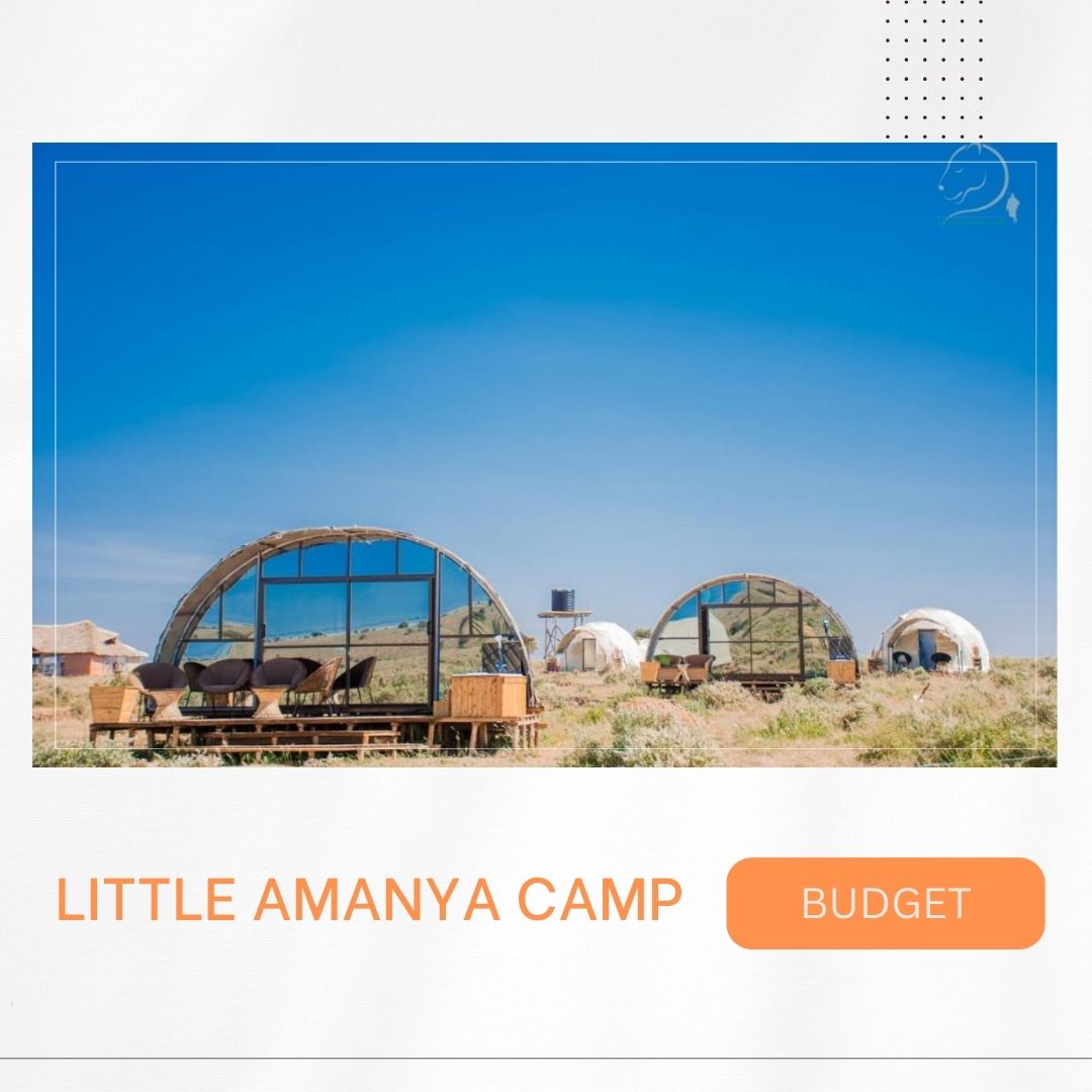 Waar te overnachten in Amboseli?, goedkoop overnachten, budget, Kenia