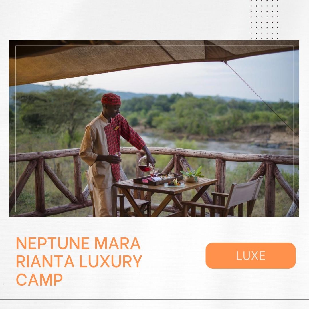 Waar te verblijven in Masai Mara, mooiste lodges, beste kampen, luxe verblijven, budget accommodaties