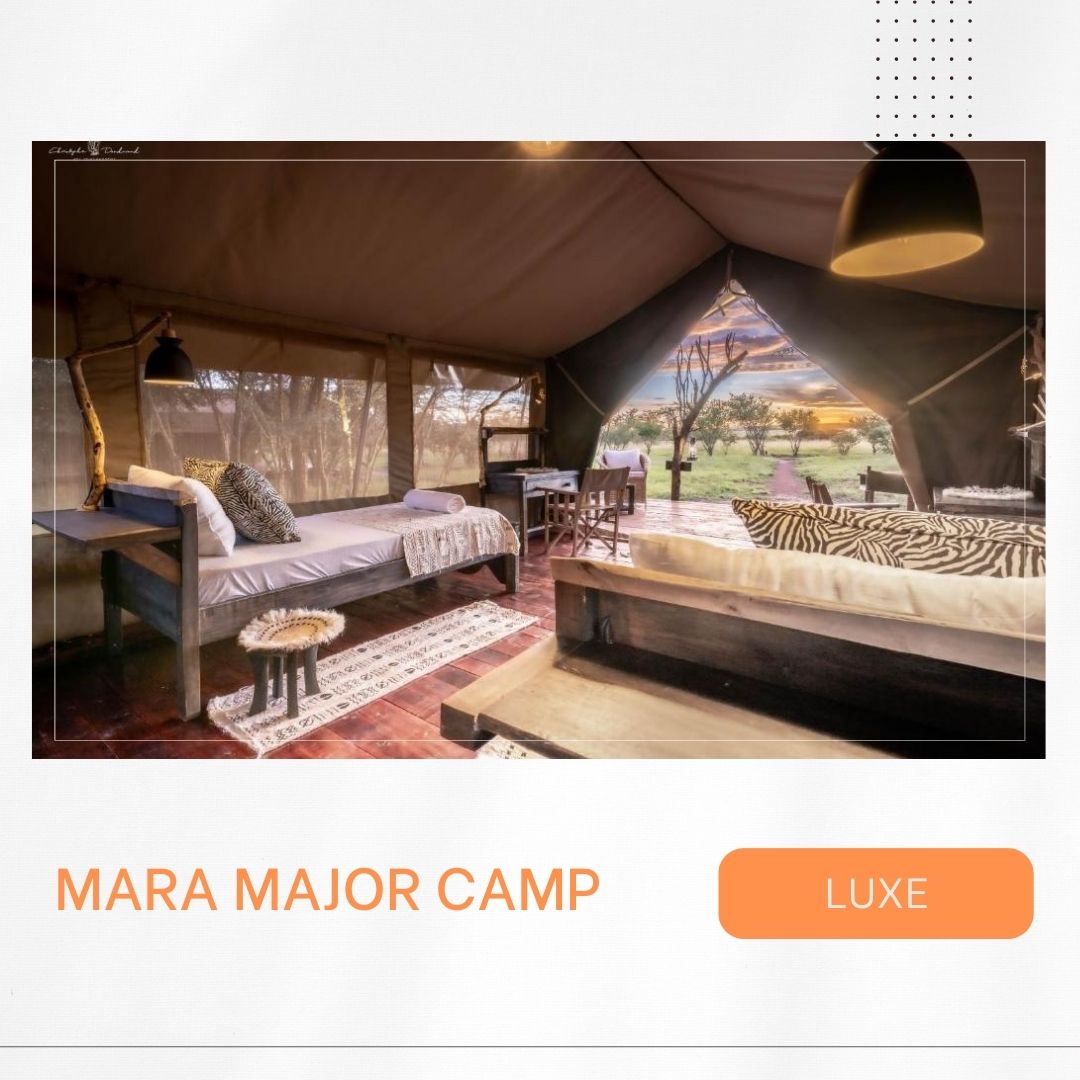 Waar te verblijven in Masai Mara, mooiste lodges, beste kampen, luxe verblijven, budget accommodaties