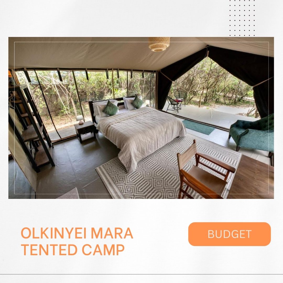 Waar te verblijven in Masai Mara, mooiste lodges, beste kampen, luxe verblijven, budget accommodaties