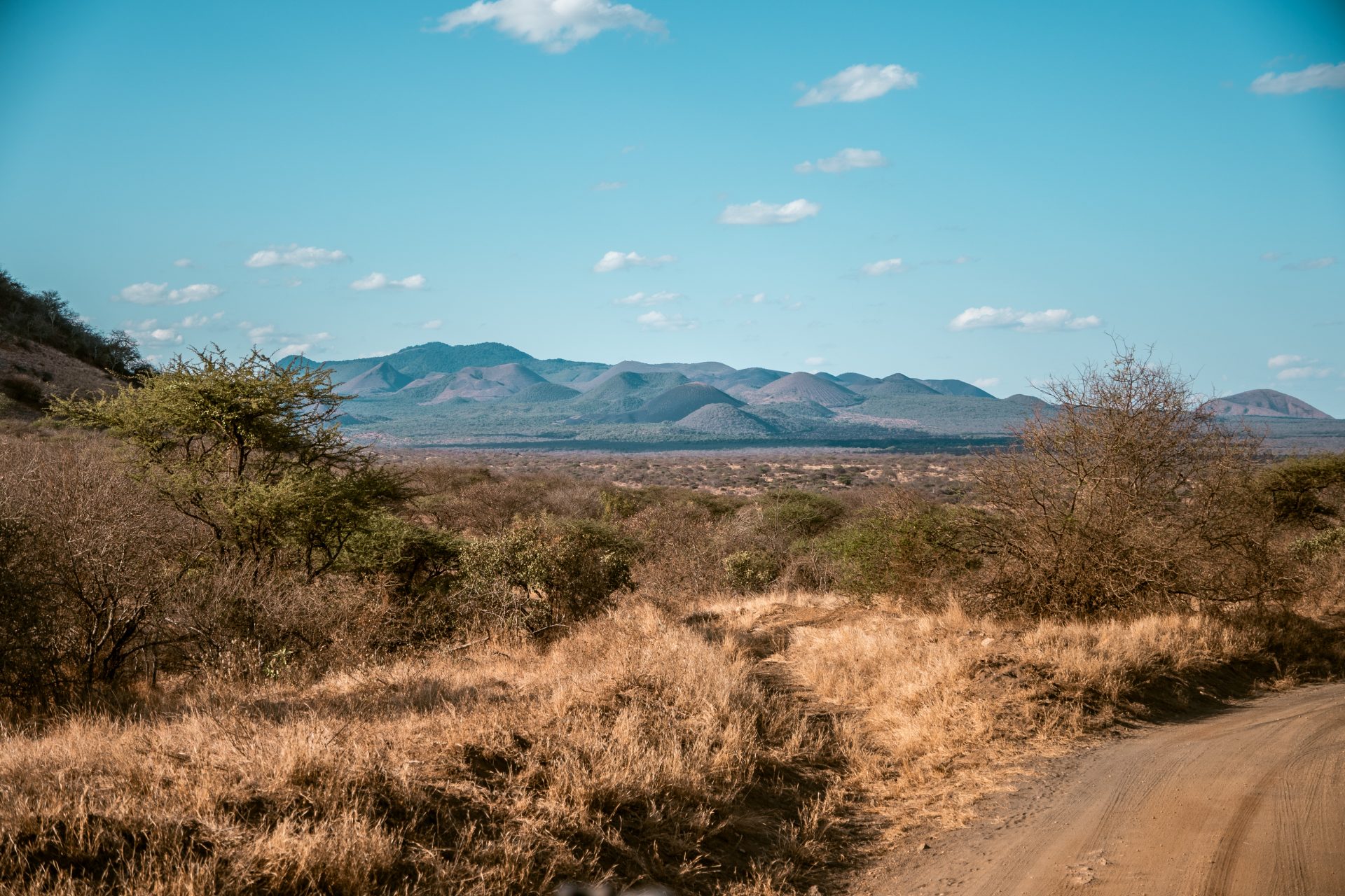 Chyulu Hills, Tsavo West, Kenia, landschappen, mooiste parken in Kenia, welk park te kiezen, safari