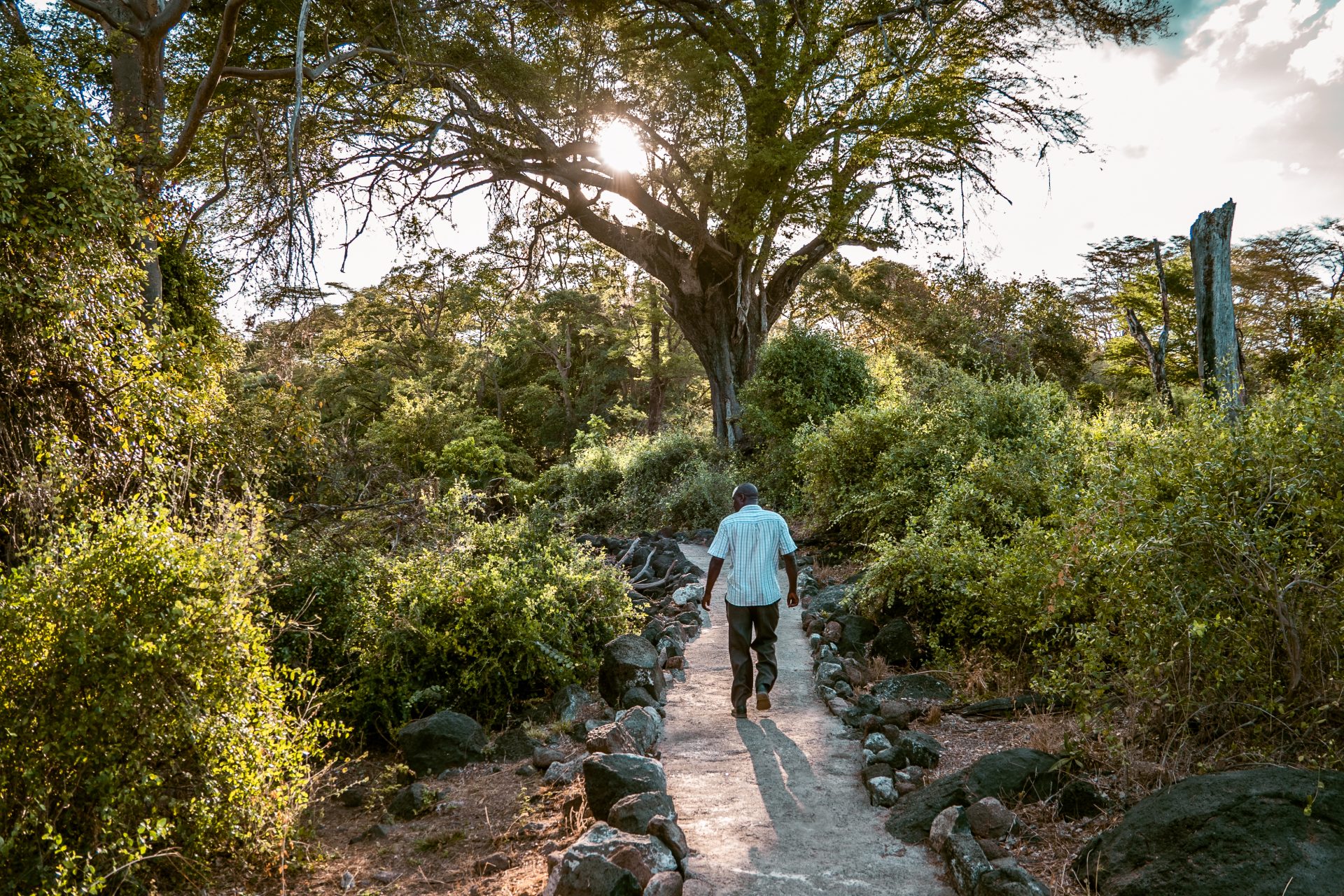 Mzima Springs, Kenia, Tsavo West