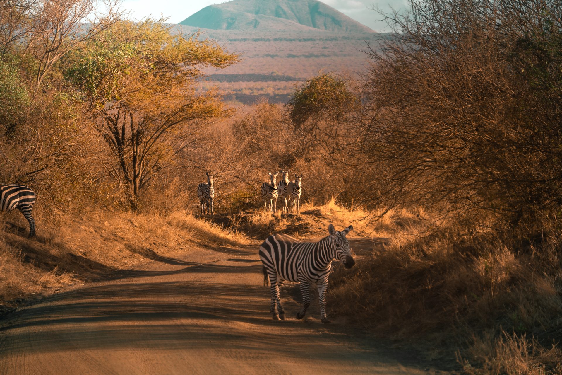 Tsavo West, mooiste parken safari Kenia, reisblog, reisgids