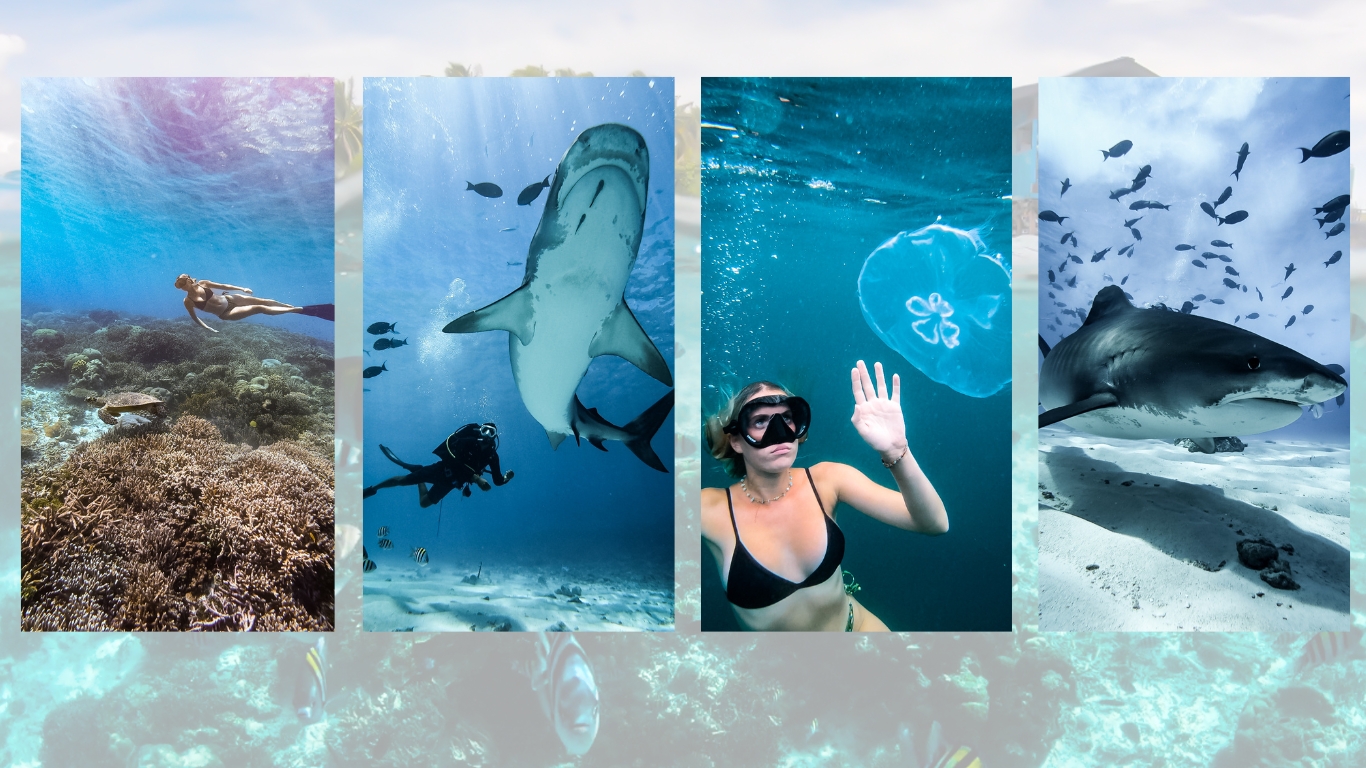 About me, mediakit, Belgian travelblogger, travel blog, adventurous destinations, Rani Permentier, collaboration, contact, ranilisza, youngwildfree