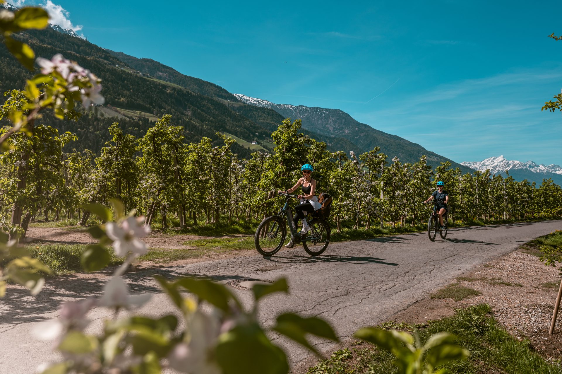 Merano regio, Zuid Tirol, Italië, fietsroutes, fietsen, bloesems, Vinschgau, Val Val Venost, reisblog, wat te doen, wat te zien, activiteiten, vakantie